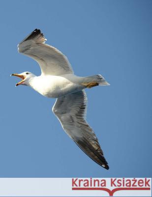 Seagull Wild Pages Press 9781546883715 Createspace Independent Publishing Platform