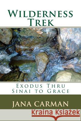 Wilderness Trek: Exodus Thru Sinai to Grace Jana Carman 9781546930570 Createspace Independent Publishing Platform