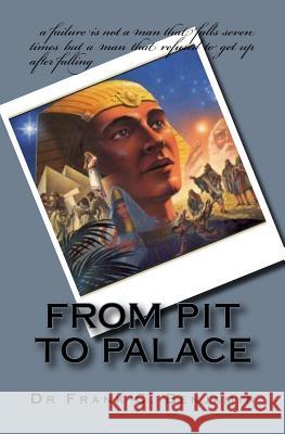 from pit to palace: you are unstoppable Franklin C Benjamin 9781546992783 Createspace Independent Publishing Platform