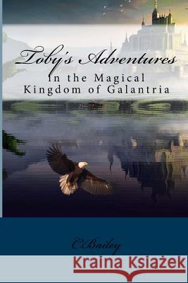 Toby's Adventures: In the Magical Kingdom of Galantria C. Bailey 9781546992929 Createspace Independent Publishing Platform