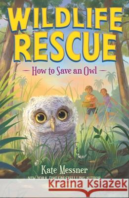 How to Save an Owl Kate Messner 9781547616466