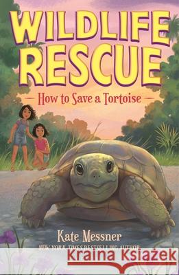 How to Save a Tortoise Kate Messner 9781547616497