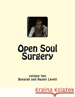 Vol. 2, Open Soul Surgery, large print edition: Seven Flames: Letters to Manasseh Levell, Naomi 9781548098254