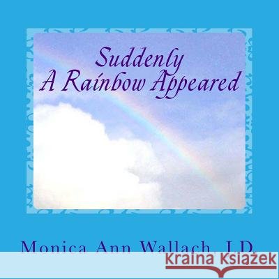 Suddenly A Rainbow Appeared Meiborg, Anne Maaike 9781548389390