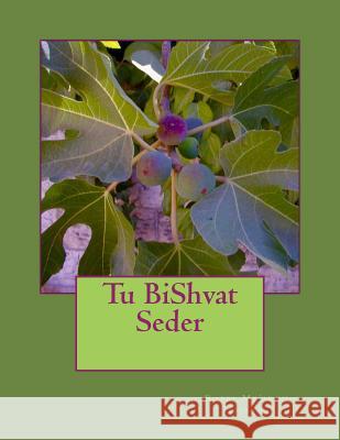 Tu BiShvat Seder Rabbi Me'irah Iliinsky 9781548402945 Createspace Independent Publishing Platform