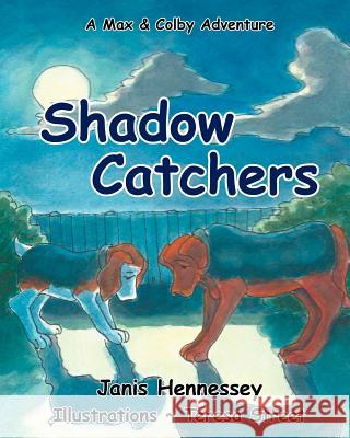 Shadow Catchers Janis Hennessey Teresa Street 9781548448691