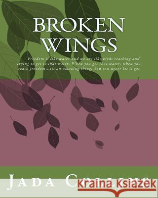 Broken Wings Jada Leah Collins 9781548518097 Createspace Independent Publishing Platform