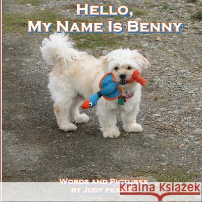 Hello, My Name Is Benny Judy Pearce 9781548593070 Createspace Independent Publishing Platform