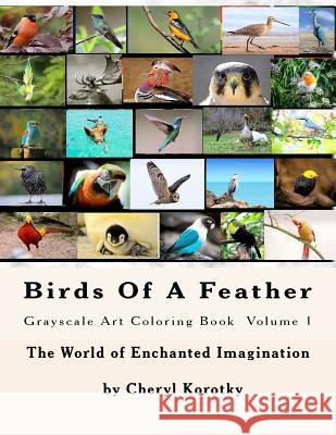 Birds Of A Feather: Grayscale Art Coloring Book Korotky, Cheryl 9781548747381 Createspace Independent Publishing Platform