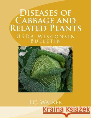 Diseases of Cabbage and Related Plants: USDA Wisconsin Bulletin J. C. Walker U. S. Dept of Agriculture Division of Fruit and Vegetable Crops 9781548775988 Createspace Independent Publishing Platform