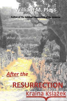 After the Resurrection: What Jesus did...Where he went...Who he saw...What was spoken... Pless, William M. 9781548896133 Createspace Independent Publishing Platform