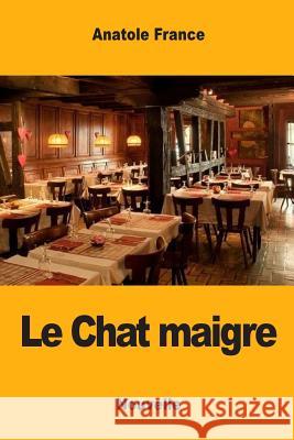 Le Chat maigre France, Anatole 9781548984861 Createspace Independent Publishing Platform