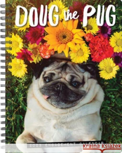 Doug the Pug 2023 Engagement Calendar Leslie Mosier 9781549229251