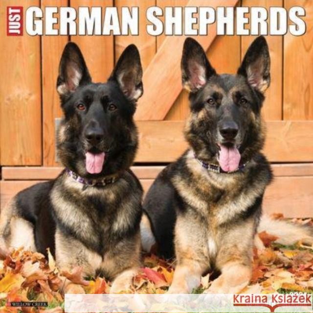 Just German Shepherds 2024 12 X 12 Wall Calendar Willow Creek Press 9781549233623 Willow Creek Press