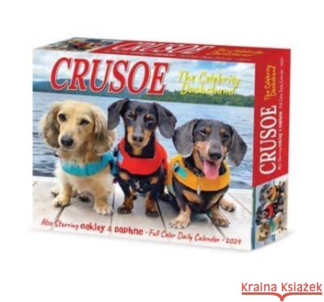 Crusoe the Celebrity Dachshund 2024 6.2 X 5.4 Box Calendar Ryan Beauchesne 9781549236280