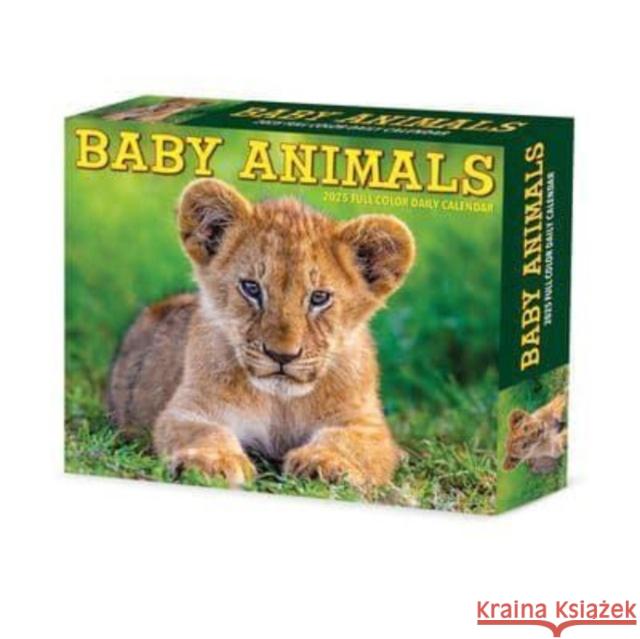 Baby Animals 2025 6.2 X 5.4 Box Calendar Willow Creek Press 9781549240607 Willow Creek Press Calendars