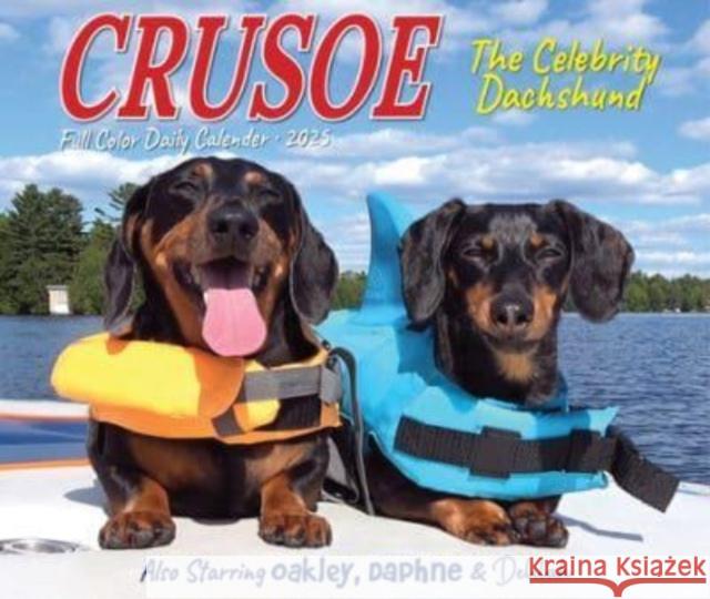 Crusoe the Celebrity Dachshund 2025 6.2 X 5.4 Box Calendar BOX 9781549240768 Willow Creek Press Calendars