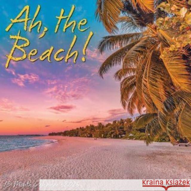 Ah, the Beach! 2025 12 X 12 Wall Calendar Willow Creek Press 9781549241246 Willow Creek Press Calendars