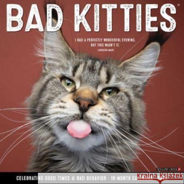 Bad Kitties 2025 12 X 12 Wall Calendar Willow Creek Press 9781549241574 Willow Creek Press Calendars