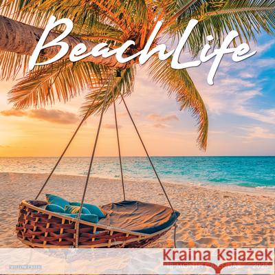 Beach Life 2025 12 X 12 Wall Calendar Willow Creek Press 9781549241635 Willow Creek Press Calendars