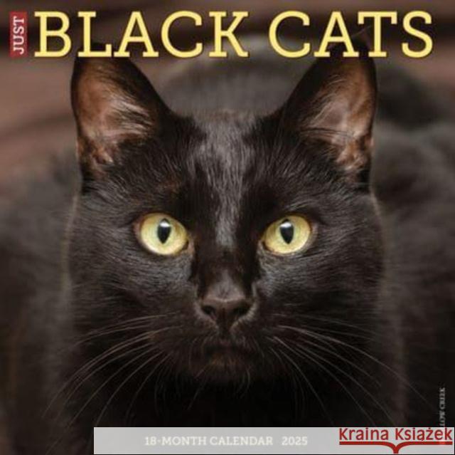 Just Black Cats 2025 12 X 12 Wall Calendar Willow Creek Press 9781549241833 Willow Creek Press Calendars