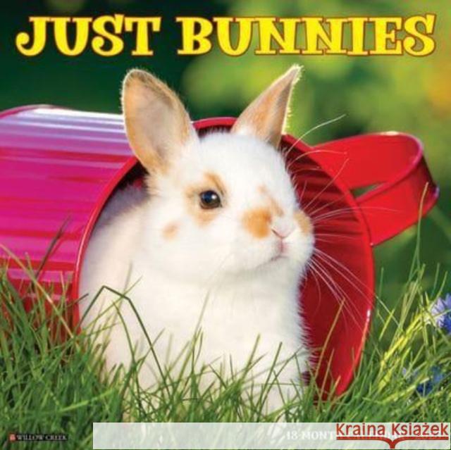 Just Bunnies 2025 12 X 12 Wall Calendar Willow Creek Press 9781549242045 Willow Creek Press Calendars