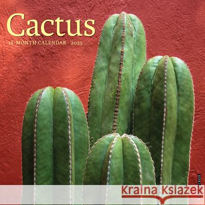 Cactus 2025 12 X 12 Wall Calendar Willow Creek Press 9781549242076 Willow Creek Press Calendars