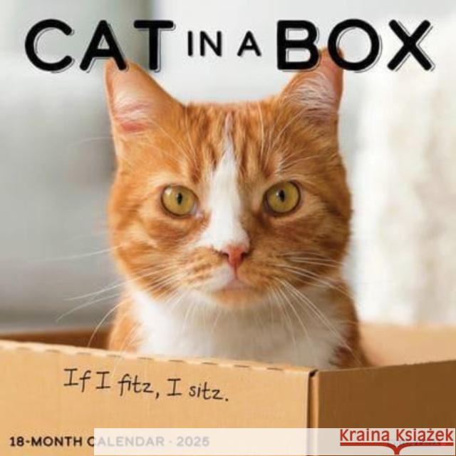 Cat in a Box 2025 12 X 12 Wall Calendar Willow Creek Press 9781549242182 Willow Creek Press Calendars