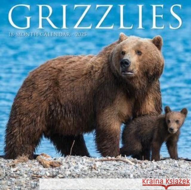 Grizzlies 2025 12 X 12 Wall Calendar Willow Creek Press 9781549243240 Willow Creek Press Calendars