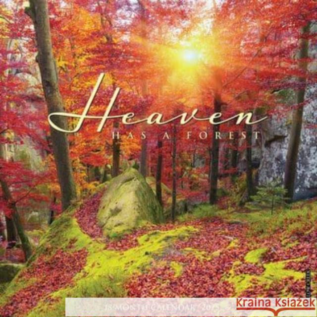 Heaven Has a Forest 2025 12 X 12 Wall Calendar Willow Creek Press 9781549243325 Willow Creek Press Calendars