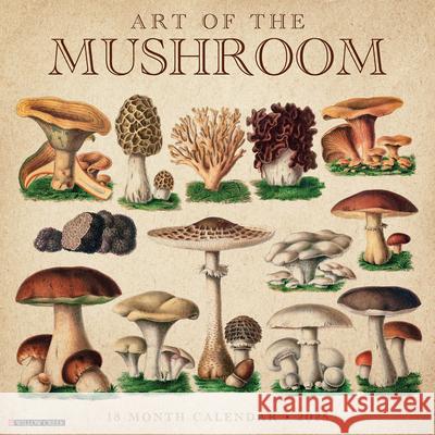 Art of the Mushroom 2025 12 X 12 Wall Calendar Willow Creek Press 9781549244070 Willow Creek Press Calendars