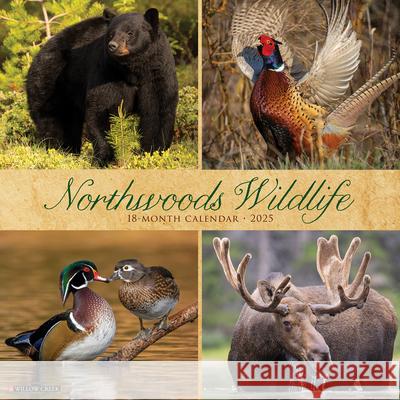 Northwoods Wildlife 2025 12 X 12 Wall Calendar Willow Creek Press 9781549244230 Willow Creek Press Calendars