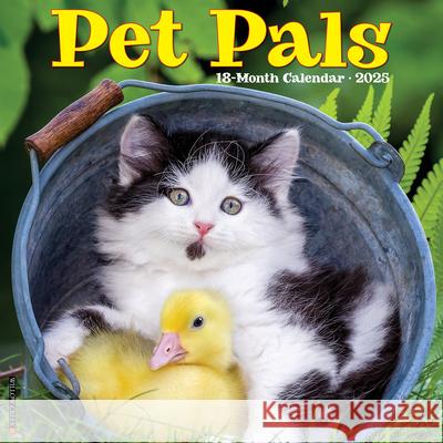 Pet Pals 2025 12 X 12 Wall Calendar Willow Creek Press 9781549244438 Willow Creek Press Calendars