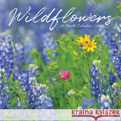 Wildflowers 2025 12 X 12 Wall Calendar Willow Creek Press 9781549245473 Willow Creek Press Calendars