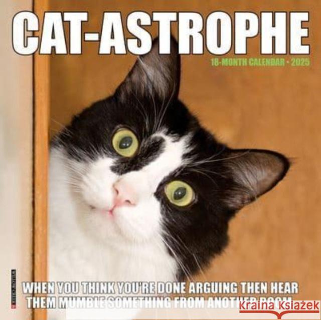 Cat-Astrophe 2025 7 X 7 Mini Wall Calendar Willow Creek Press 9781549245688 Willow Creek Press Calendars