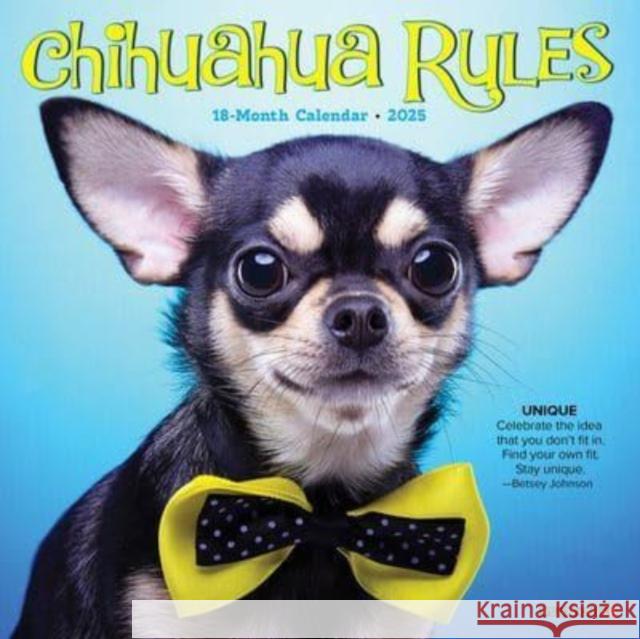 Chihuahua Rules 2025 7 X 7 Mini Wall Calendar Willow Creek Press 9781549245695 Willow Creek Press Calendars