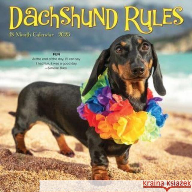 Dachshund Rules 2025 7 X 7 Mini Wall Calendar Willow Creek Press 9781549245749 Willow Creek Press Calendars