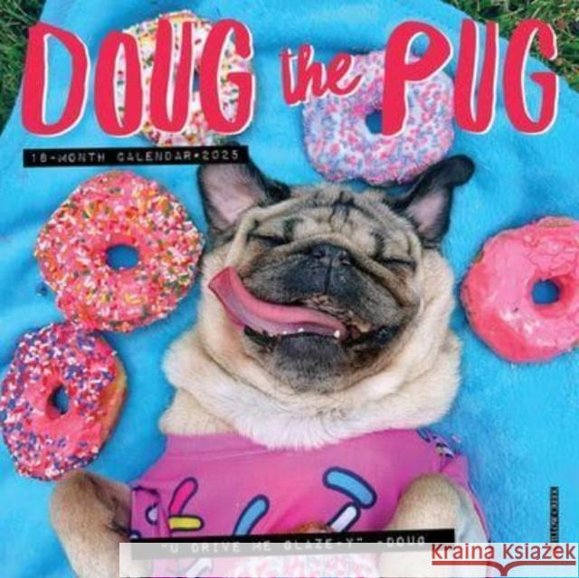 Doug the Pug 2025 7 X 7 Mini Wall Calendar MINI WALL 9781549245763 Willow Creek Press Calendars