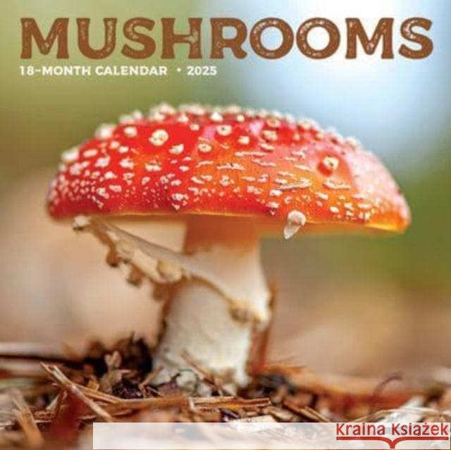 Mushrooms 2025 7 X 7 Mini Wall Calendar Willow Creek Press 9781549245855 Willow Creek Press Calendars