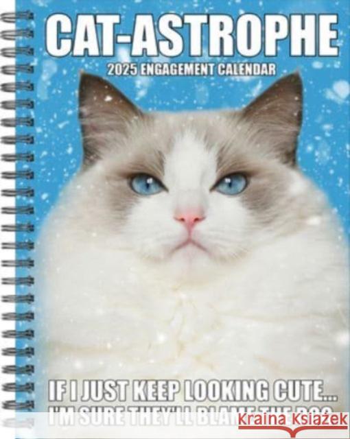 Cat-Astrophe 2025 6.5 X 8.5 Engagement Calendar Willow Creek Press 9781549246104 Willow Creek Press Calendars