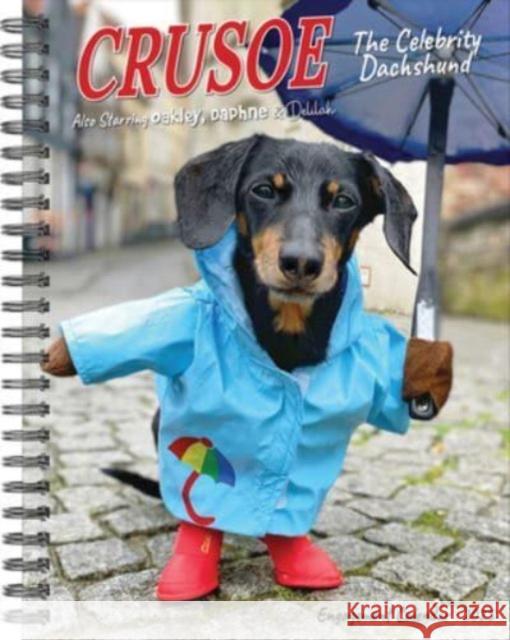 Crusoe the Celebrity Dachshund 2025 6.5 X 8.5 Engagement Calendar Ryan Beauchesne 9781549246111