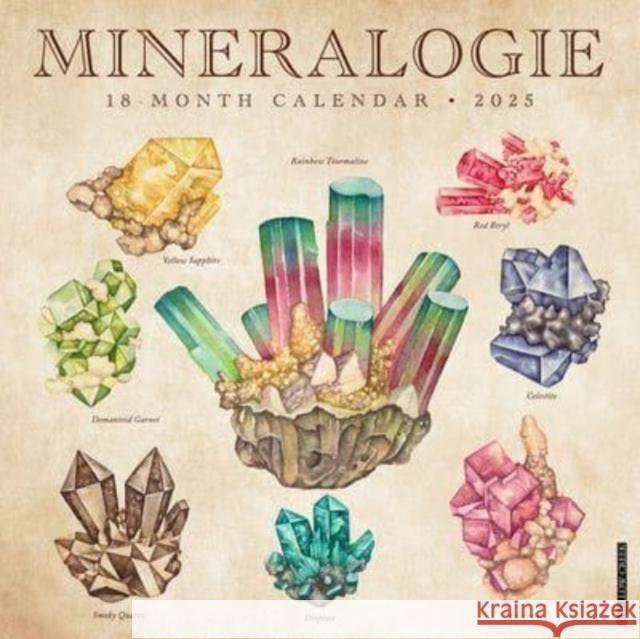 Mineralologie 2025 12 X 12 Wall Calendar Willow Creek Press 9781549246494 Willow Creek Press Calendars