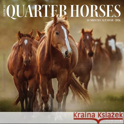 American Quarter Horses 2026 Wall Calendar Willow Creek Press 9781549249853 Wlcp