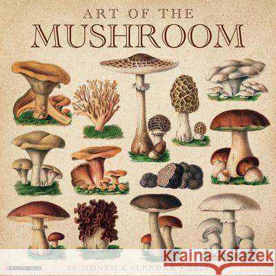 Art of the Mushroom 2026 12 X 12 Wall Calendar Willow Creek Press 9781549249914 Wlcp