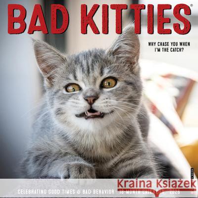 Bad Kitties 2026 12 X 12 Wall Calendar Willow Creek Press 9781549250040 Wlcp