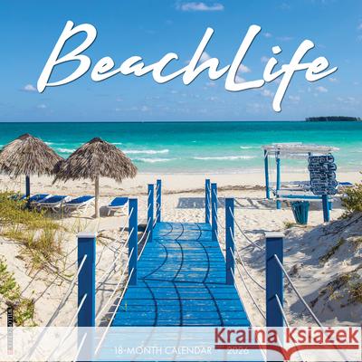 Beachlife 2026 Wall Calendar Willow Creek Press 9781549250125 Wlcp