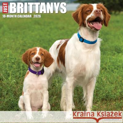 Brittanys 2026 12 X 12 Wall Calendar Willow Creek Press 9781549250385 Willow Creek Press Calendars