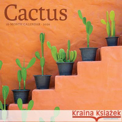 Cactus 2026 Wall Calendar Willow Creek Press 9781549250477 Wlcp
