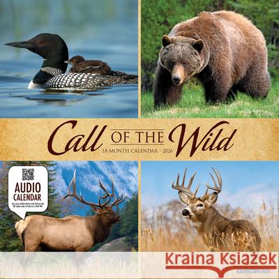 Call of the Wild 2026 Wall Calendar Willow Creek Press 9781549250507 Wlcp