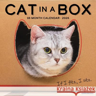 Cat in a Box 2026 12 X 12 Wall Calendar Willow Creek Press 9781549250576 Willow Creek Press Calendars